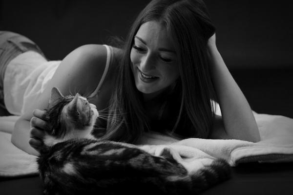 Kissojen nivelrikko - Oireet ja hoidot - Kissan nivelrikon hoito