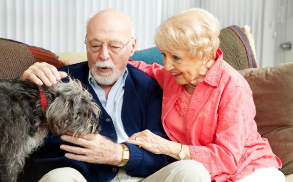 Alzheimerin oireet koirilla - Mitä tehdä, jos koirasi kärsii Alzheimerin taudista