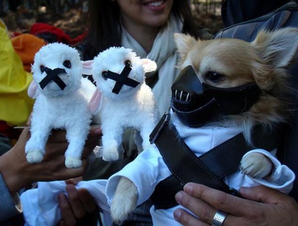 15 Koiran Halloween -puvut - 9. Hannibal Lecter -koira
