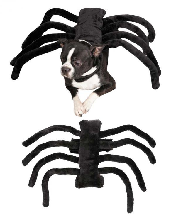 15 Halloween -asuja koirille - 13. Hämähäkkikoira