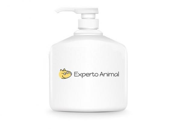 Kuinka kosteuttaa koirani ihoa - Shampoo koirille, joilla on kuiva iho