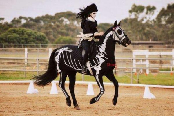 10 Halloween -pukua hevosille - 1. Goottihevonen