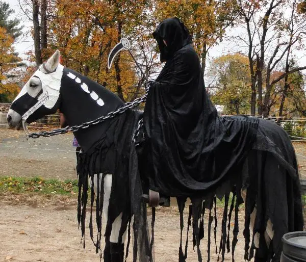 10 Halloween -pukua hevosille - 5. Kuoleman lauma