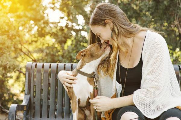 Käänteinen aivastelu koirilla - syyt, hoito ja hoito - Käänteisen aivastelun korjaustoimenpiteet koirilla 
