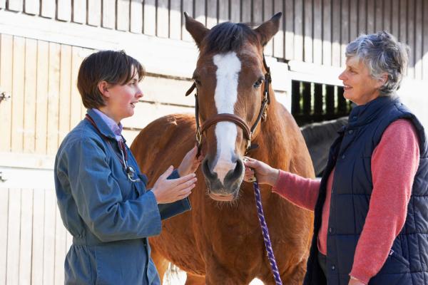Hevosen aivotulehdus - Oireet ja hoito - Mikä on hevosen aivotulehdus 