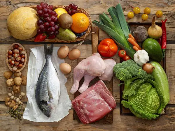 Raaka- tai BARF -ruokavalio kissoille - Esimerkki, edut ja vinkit - Esimerkki kissojen BARF -ruokavaliosta