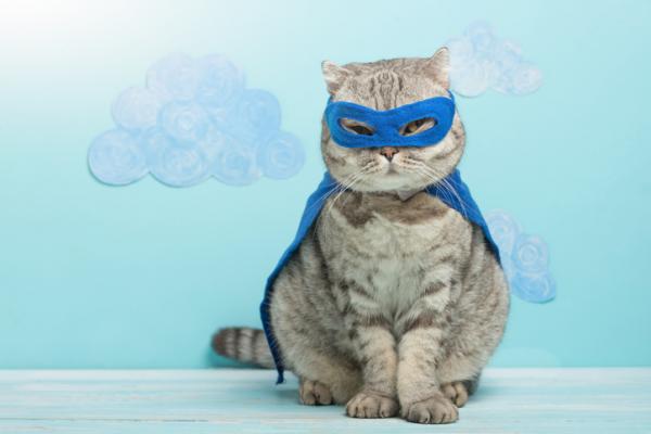 Kotitekoisia asuja kissoille - Super -kissan puku