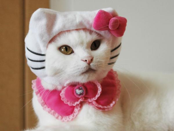 Kotitekoiset kissanpuvut - Hello Kitty -asu
