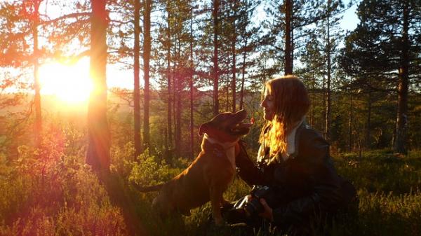 10 syytä kävellä koiraasi - 7. Ne parantavat suhdetta ihmisiinsä