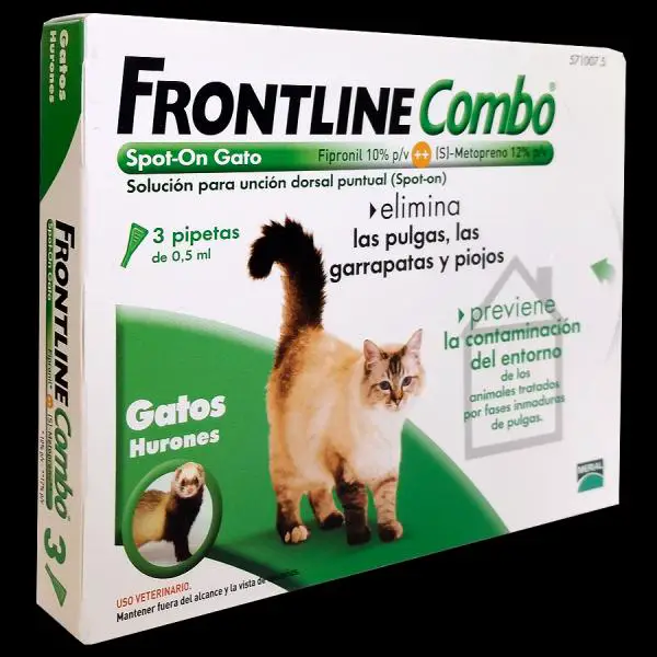 Parhaat tuotteet madonpoisto kissoille - Frontine kissa ja frettiyhdistelmä