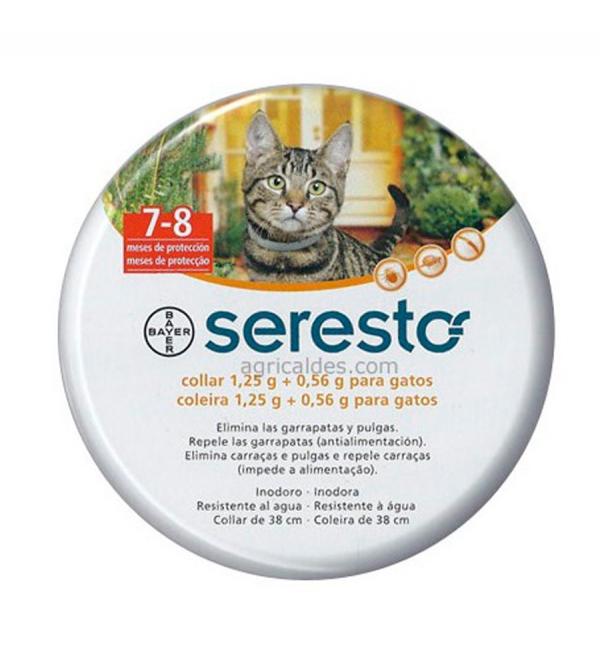 Parhaat tuotteet madonmatoille - Bayer -kaulus kissoille
