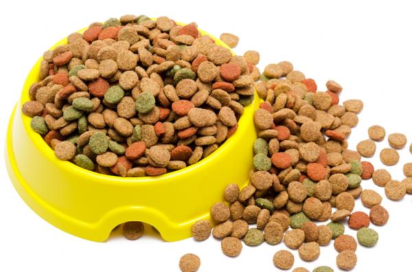 Vitamiinit iäkkäille koirille - Ruokavalio on avain ikääntyneen koiran terveyteen