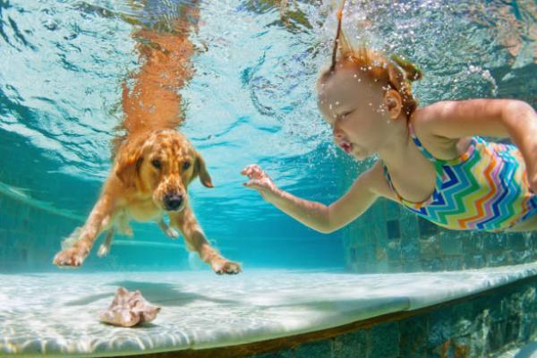 Aktiviteetteja lapsille ja koirille - Uinti tai vesipelit