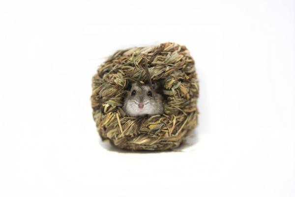 1629116229 297 Hamsteritalot tyypit ja suositukset