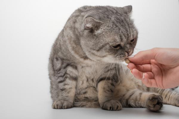 Onsior kissoille - Annostus, käyttötavat ja sivuvaikutukset - Onsior -annos kissoille