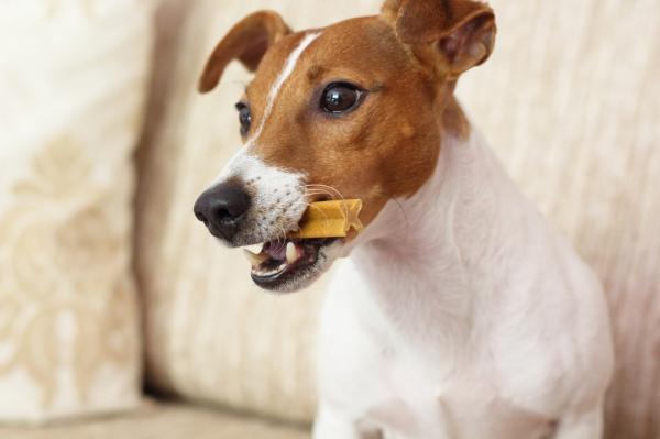 Eri tapoja puhdistaa koiran hampaat - 8. Hampaiden välipalat