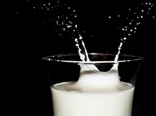 Hätäpentu -kaava - kotitekoinen resepti - ihanteelliset maitotasot pennuille