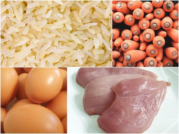 Gastriitti koirilla - Mitä gastriitti -koira voi syödä?