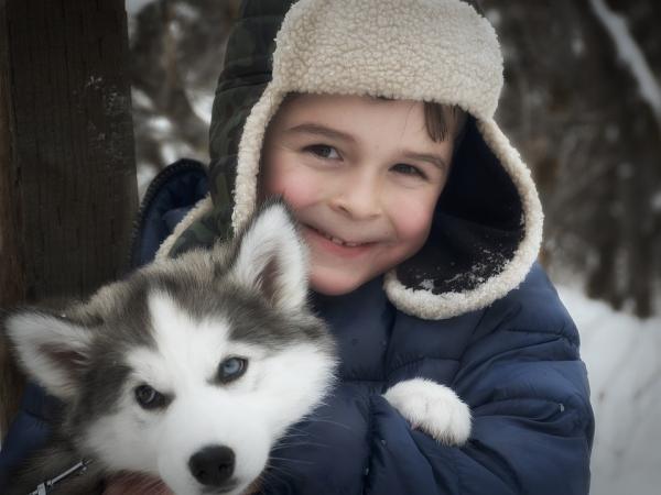 Siperianhuskin omistamisen edut - 5. Huskyt voivat olla erinomaisia ​​kumppaneita lapsille 