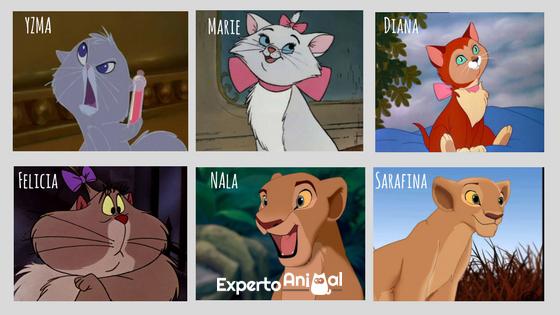 Disneyn hahmojen nimet kissoille - Disney -kissanimet