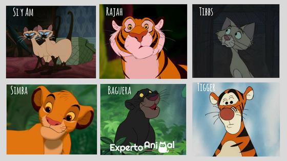 Disneyn hahmojen nimet kissoille - kuuluisat Disney -kissanimet