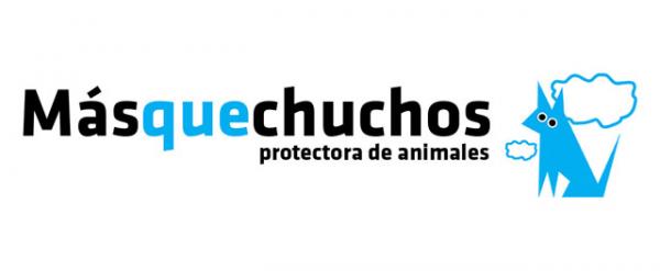 Missä voin adoptoida koiran Asturiassa - MásqueChuchos