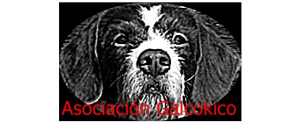 Missä voin adoptoida koiran Asturiassa - Galcokico Association