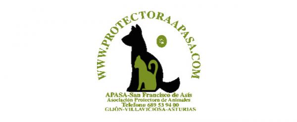 Mistä voin adoptoida koiran Asturiassa - APASA?  San Francisco de Asisin eläinsuojeluliitto 