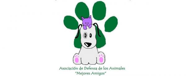 Missä adoptoida koira Zaragozassa - ADAMA Association for the Defense of Animals 