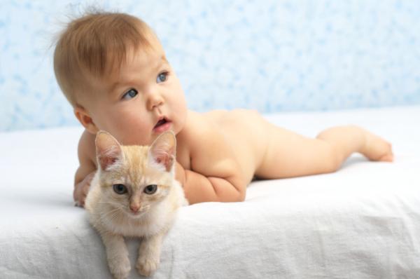 Kissan saamisen edut lapsille - terveyshyödyt