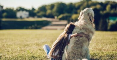 20 parasta koirarotua lapsille