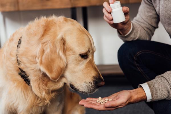 B vitamiini koirille annostus edut ja kayttotavat