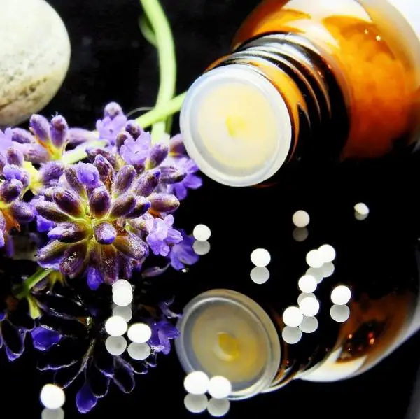 Homeopatia pelokkaille koirille