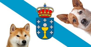 Koirien nimet Galiciassa