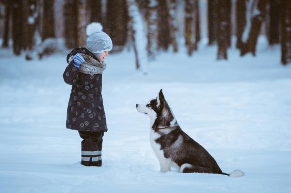 Kuinka hoitaa koira talvella