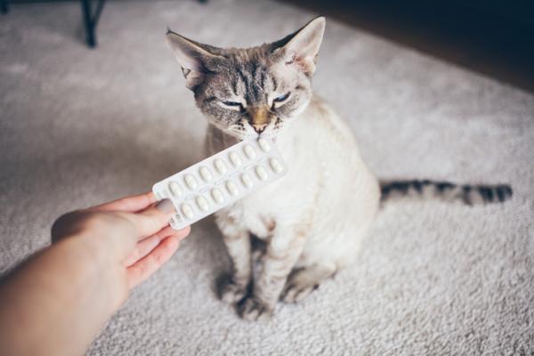 Minipuristin kissoille kayttotarkoitukset annokset ja sivuvaikutukset