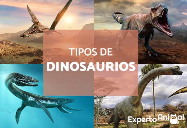 Olemassa olevien dinosaurusten tyypit - ominaisuudet, nimet ja valokuvat 1 Olemassa olevien dinosaurusten tyypit ominaisuudet nimet ja valokuvat