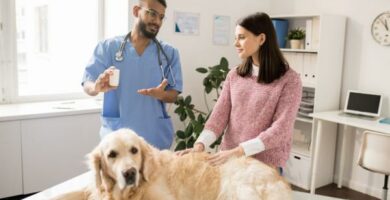 Omepratsoli koirille annostus kaytto ja sivuvaikutukset