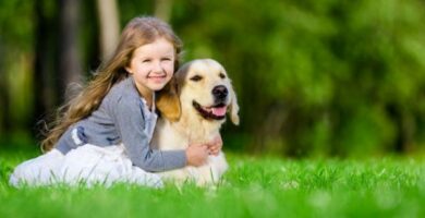 Parhaat koirarodut autistisille lapsille
