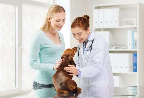 Ranitidiini koirille annostus kaytto ja sivuvaikutukset