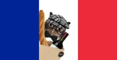 Ranskalaiset nimet kissoille