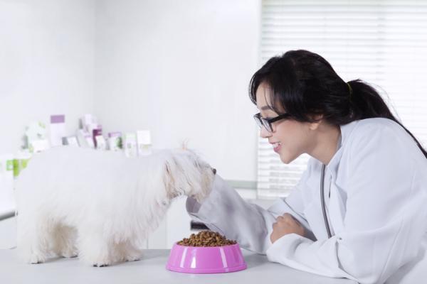 Ruokavalio syopaa sairastaville koirille