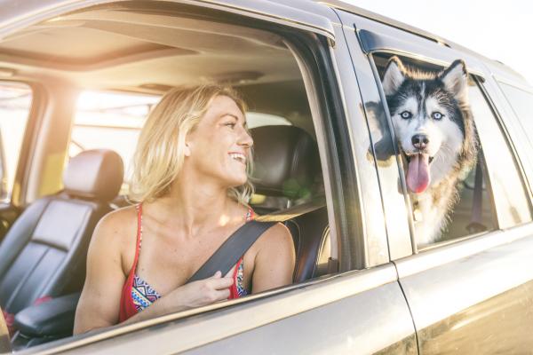 Siperianhuskyn omistamisen edut