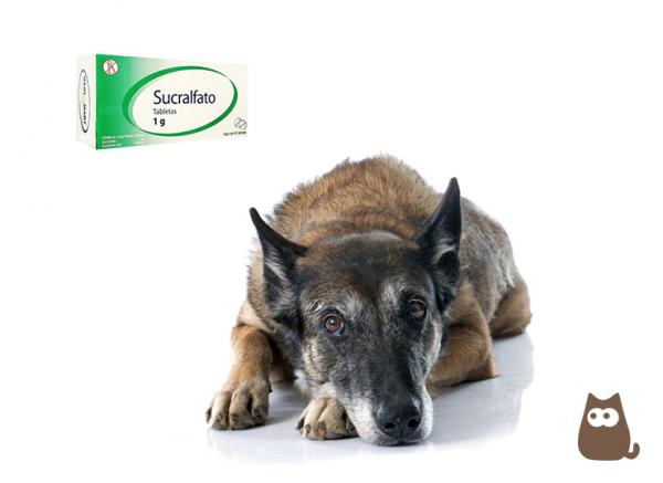 Sukralfaatti koirilla annostus kaytto ja vasta aiheet