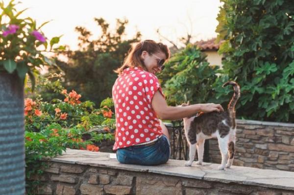 Vinkkeja eksyneen kissan adoptointiin