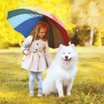 Vinkkeja koiran kavelyyn sateessa