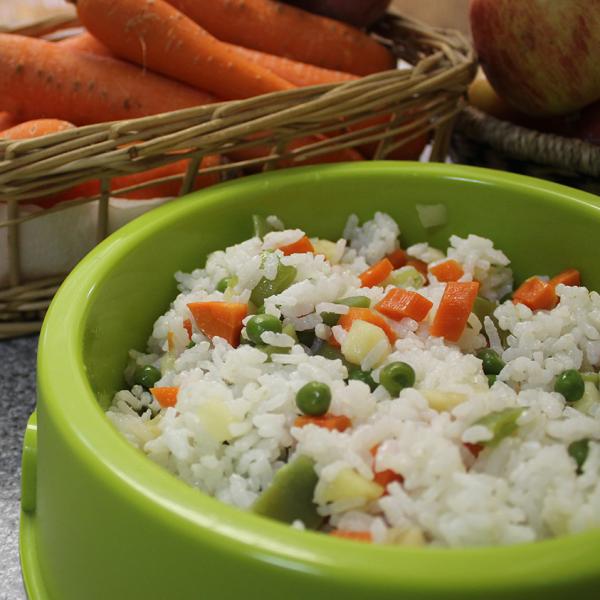 img arroz con verduras para perros 20987 600