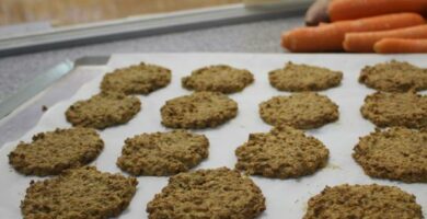 img galletas de avena y miel para perros 20858 600