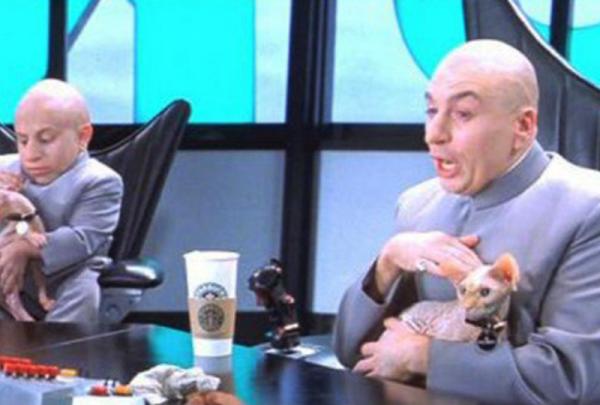 10 kuuluisinta kissaa elokuvissa, muistatko ne?  - 3. Herra Bigglesworth ja Minnie Mr. Bigglesworth