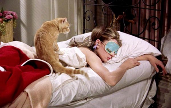 10 kuuluisinta kissaa elokuvissa, muistatko ne?  - 10. kissa